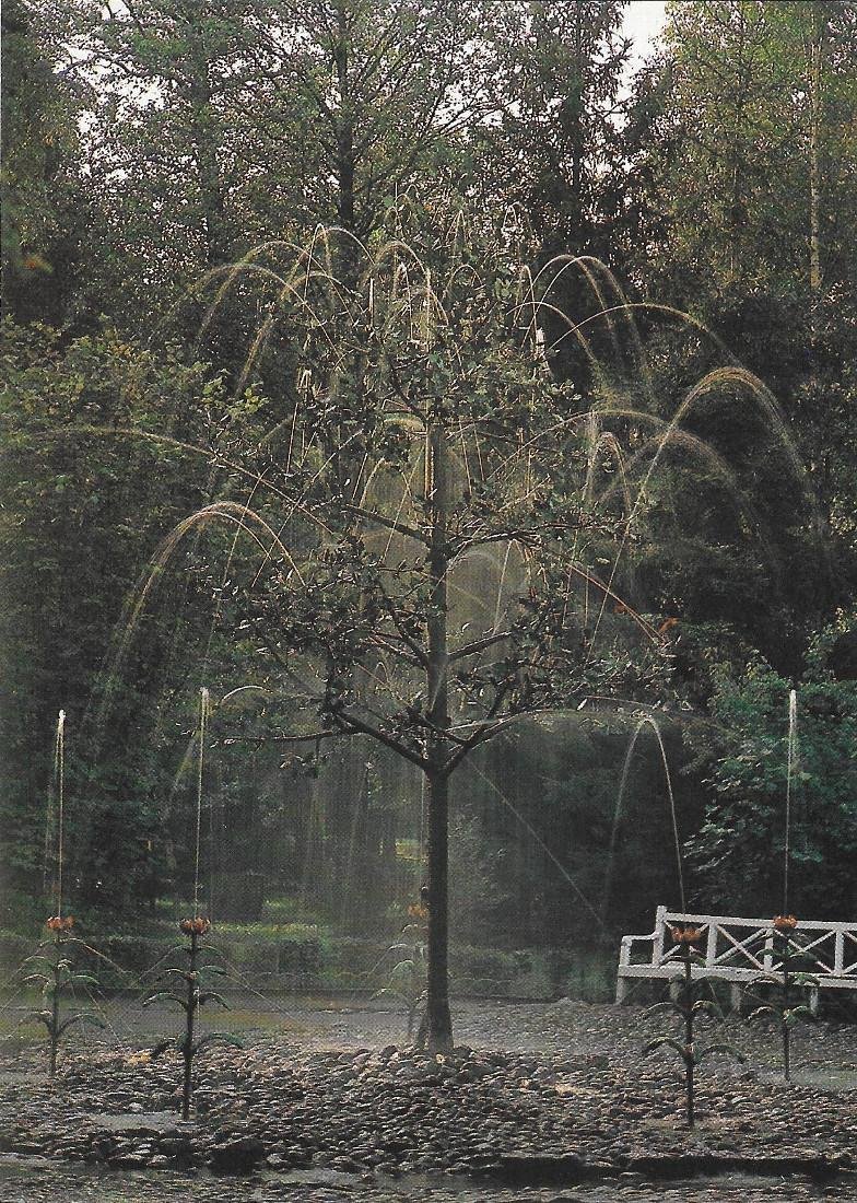 Petrodvorets. The Oak and Tulips trick fountains. Non viaggiata | Immagine principale