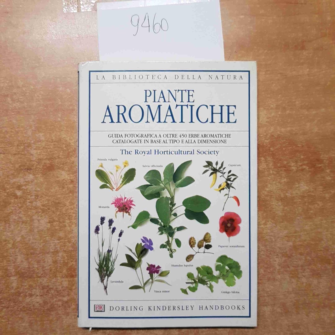 Piante aromatiche guida fotografica oltre 450 erbe aromatiche | Immagine principale