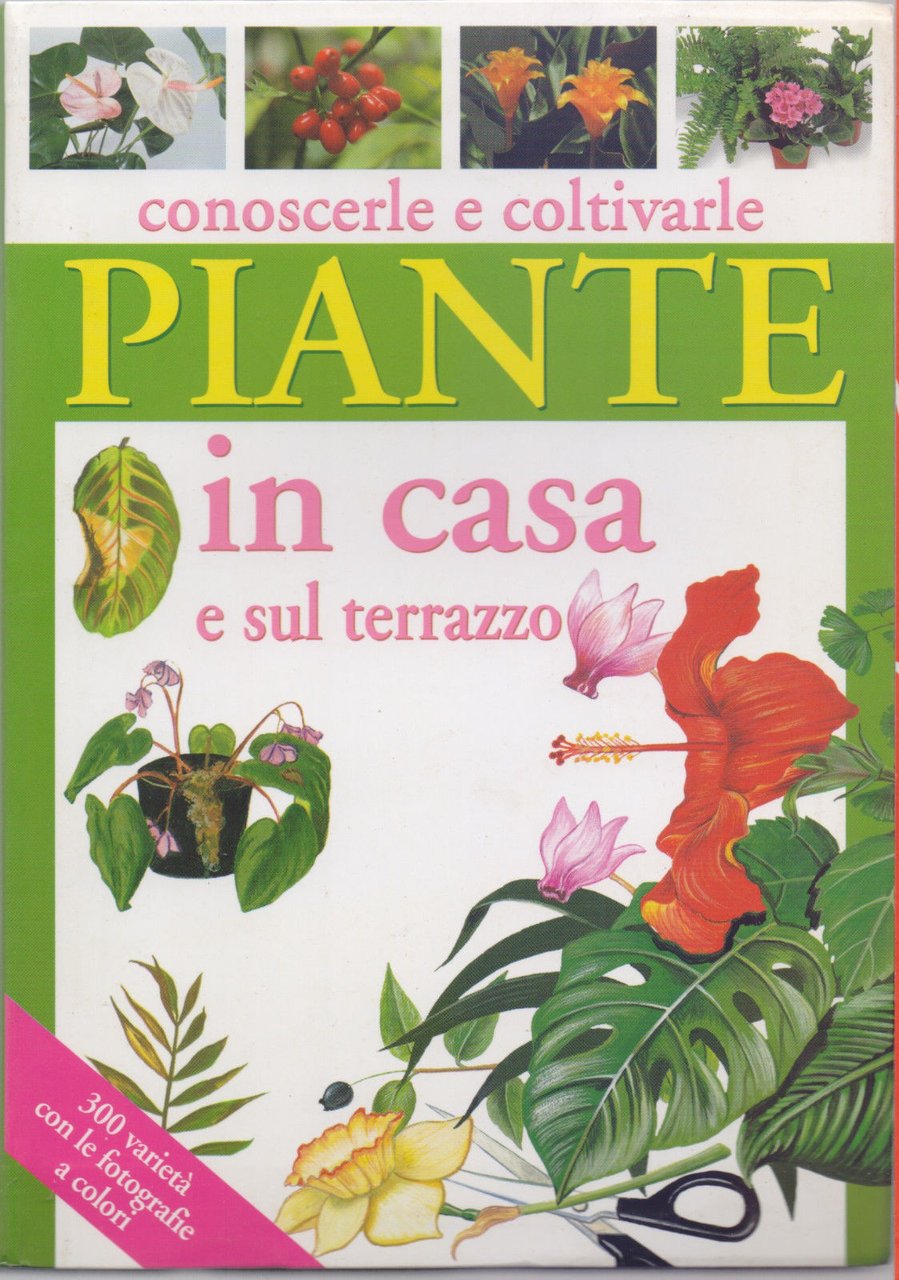 Piante in casa e sul terrazzo - Gelio Pietro