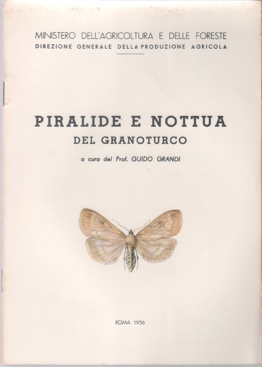 Piralide e nottua dl granturco