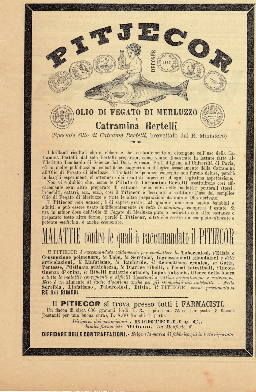 Pitjecor, olio di fegato di merluzzo. Bertelli Milano. Advertising 1889