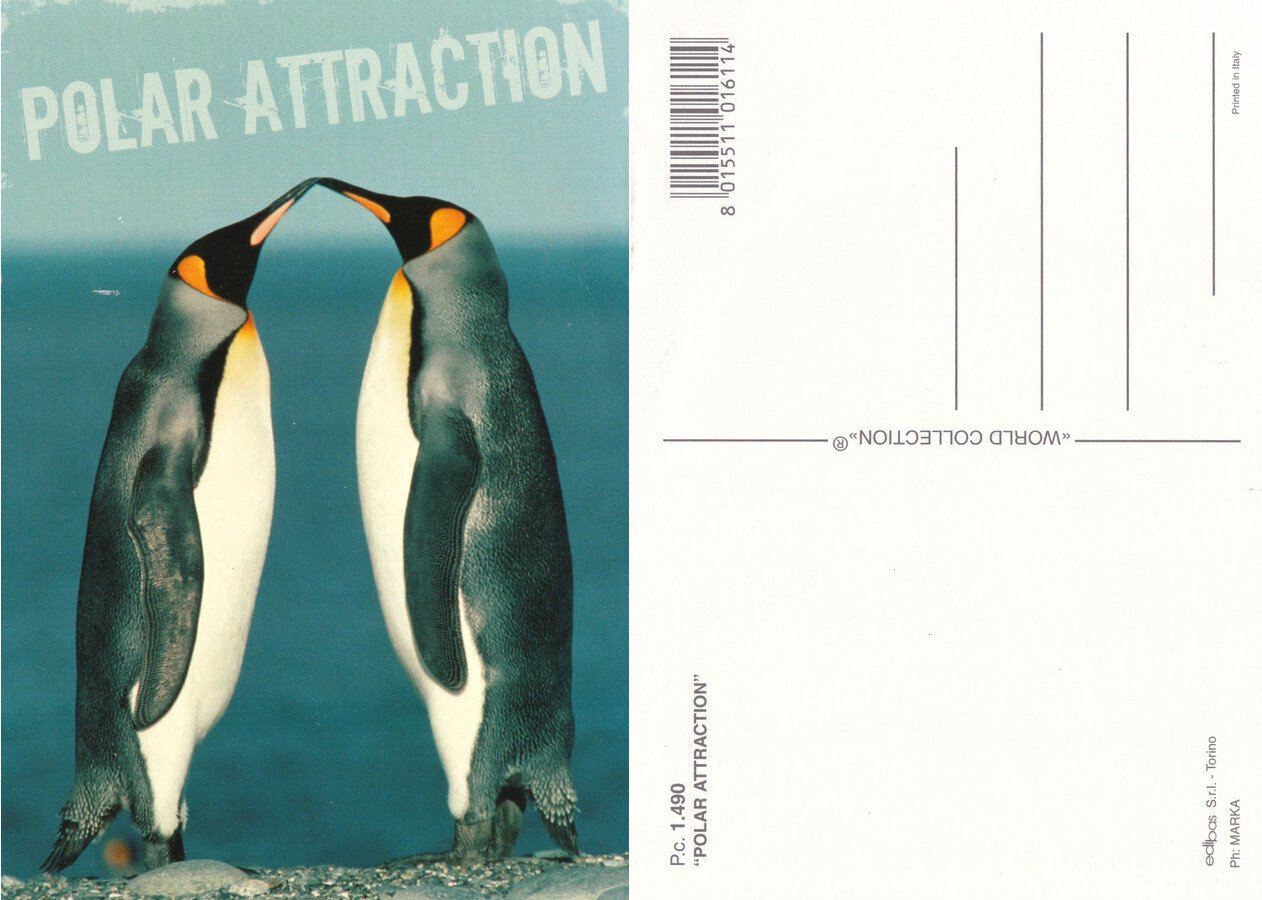Polar Attraction. Non viaggiata
