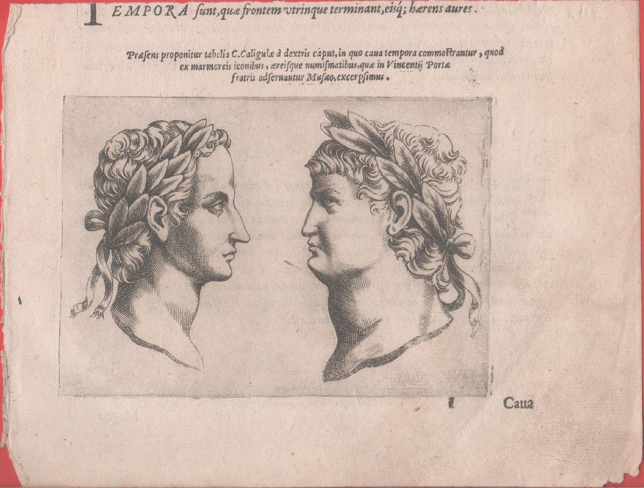 Praesens propronitur tabelis C. Caligulae a dextris... stampa antica