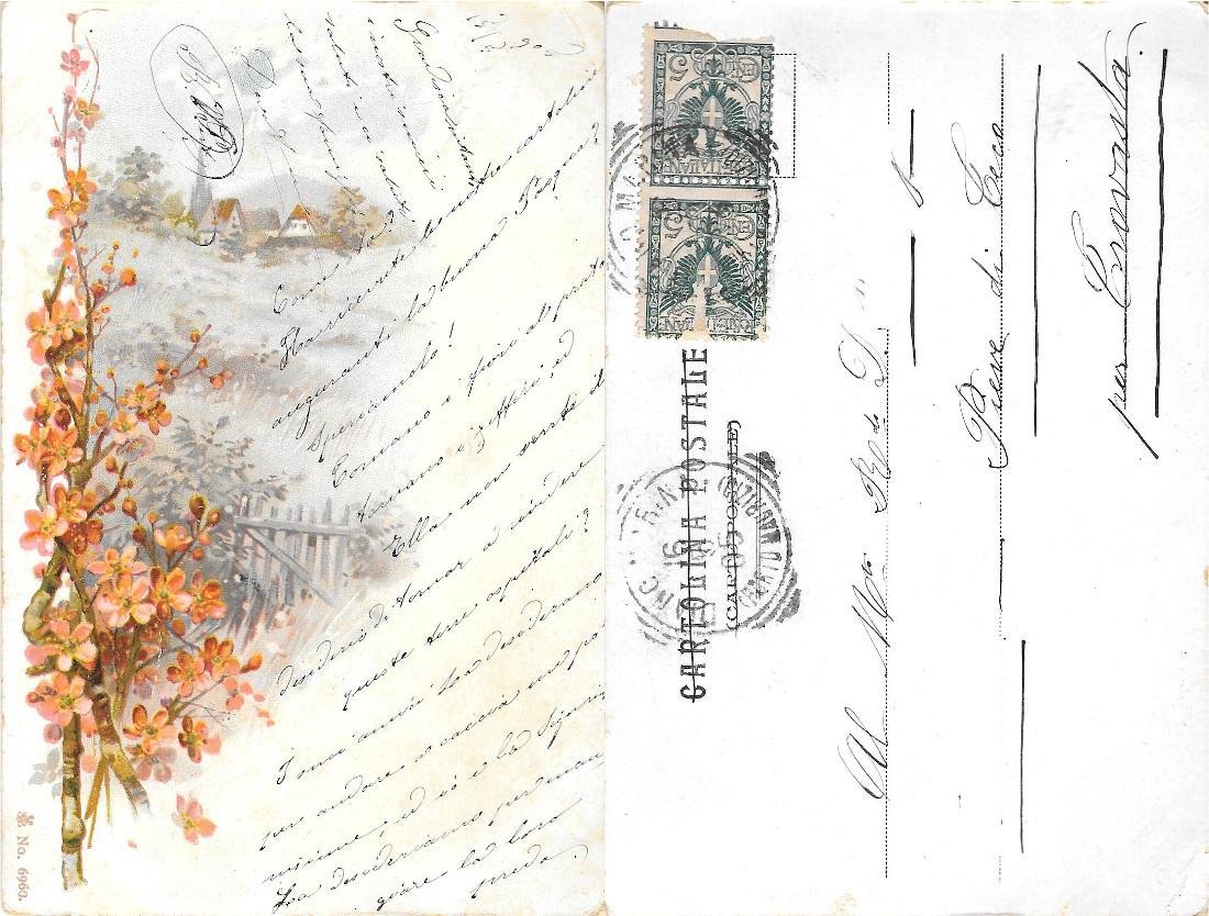 Rami fioriti. Viaggiata 1905