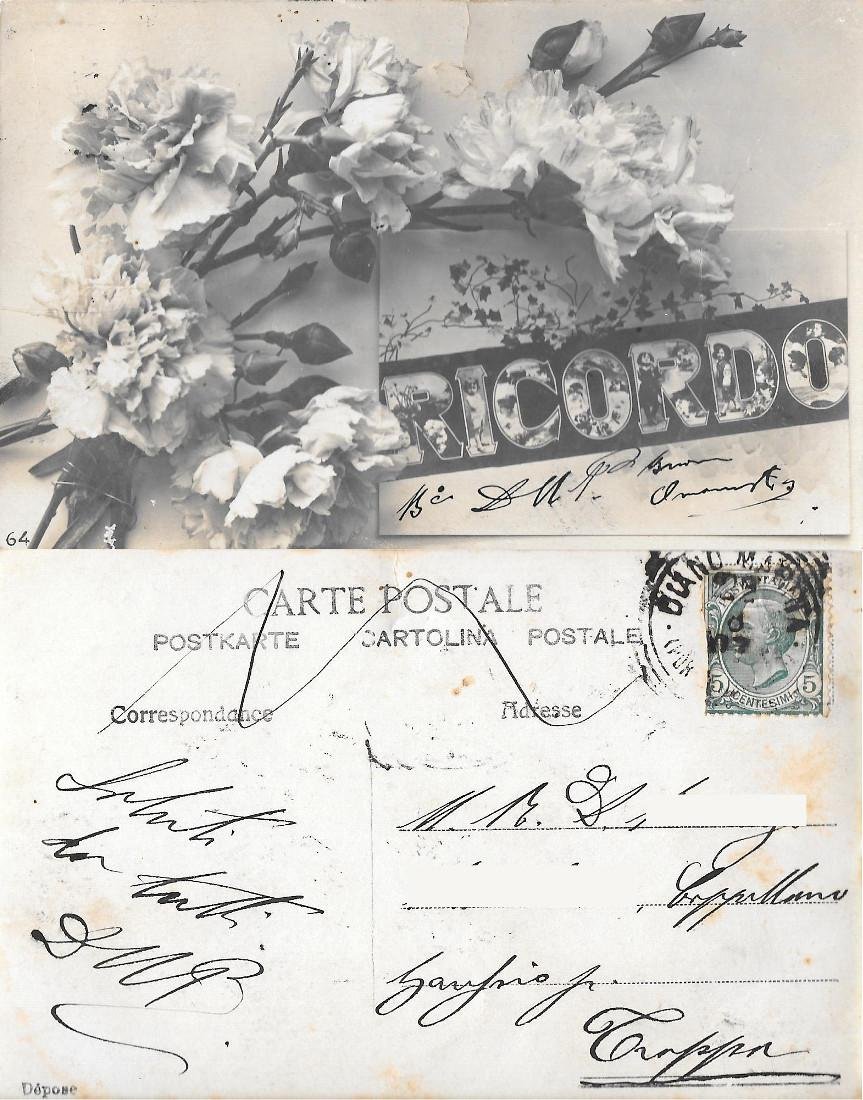 Ricordo. Garofani. Viaggiata 1907