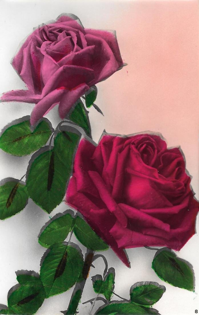 Rosa rossa e rosa antico. Non viaggiata, stampata 1942