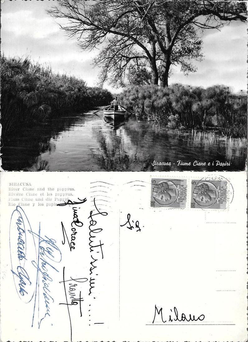 Siracusa. Fiume Ciane e i Papiri. Viaggiata