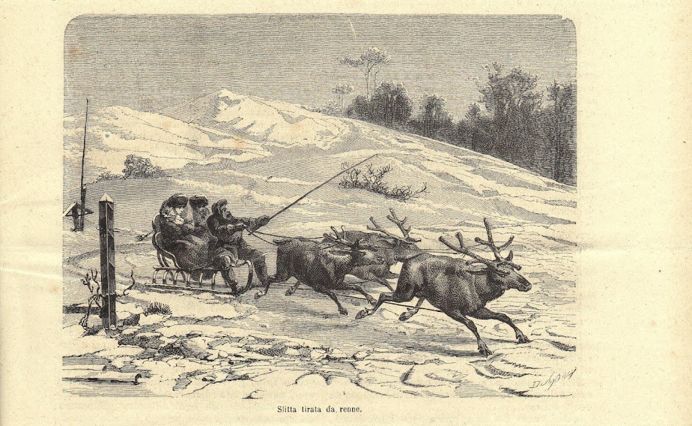 Slitta trainata da renne (Siberia). Stampa 1863.