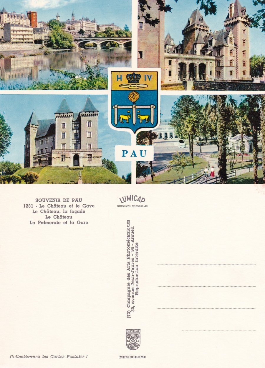 Souvenir de Pau. Non viaggiata