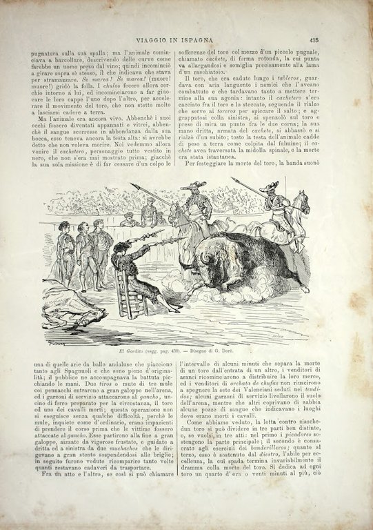 Spagna. la morte del cavallo/El Gordito. Stampa 1864