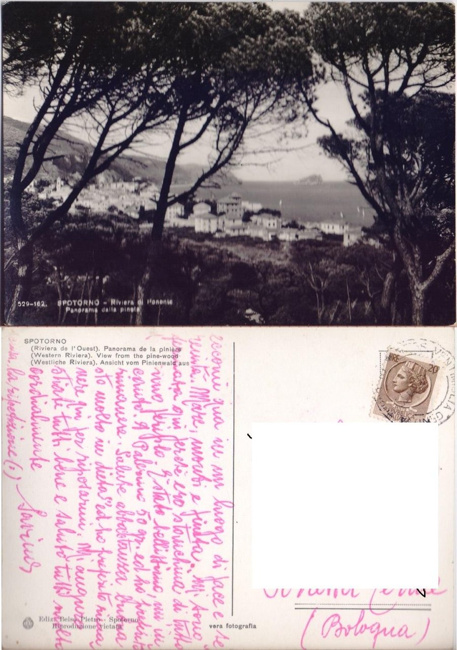 Spotorno. Panorama dalla pineta. Viaggiata