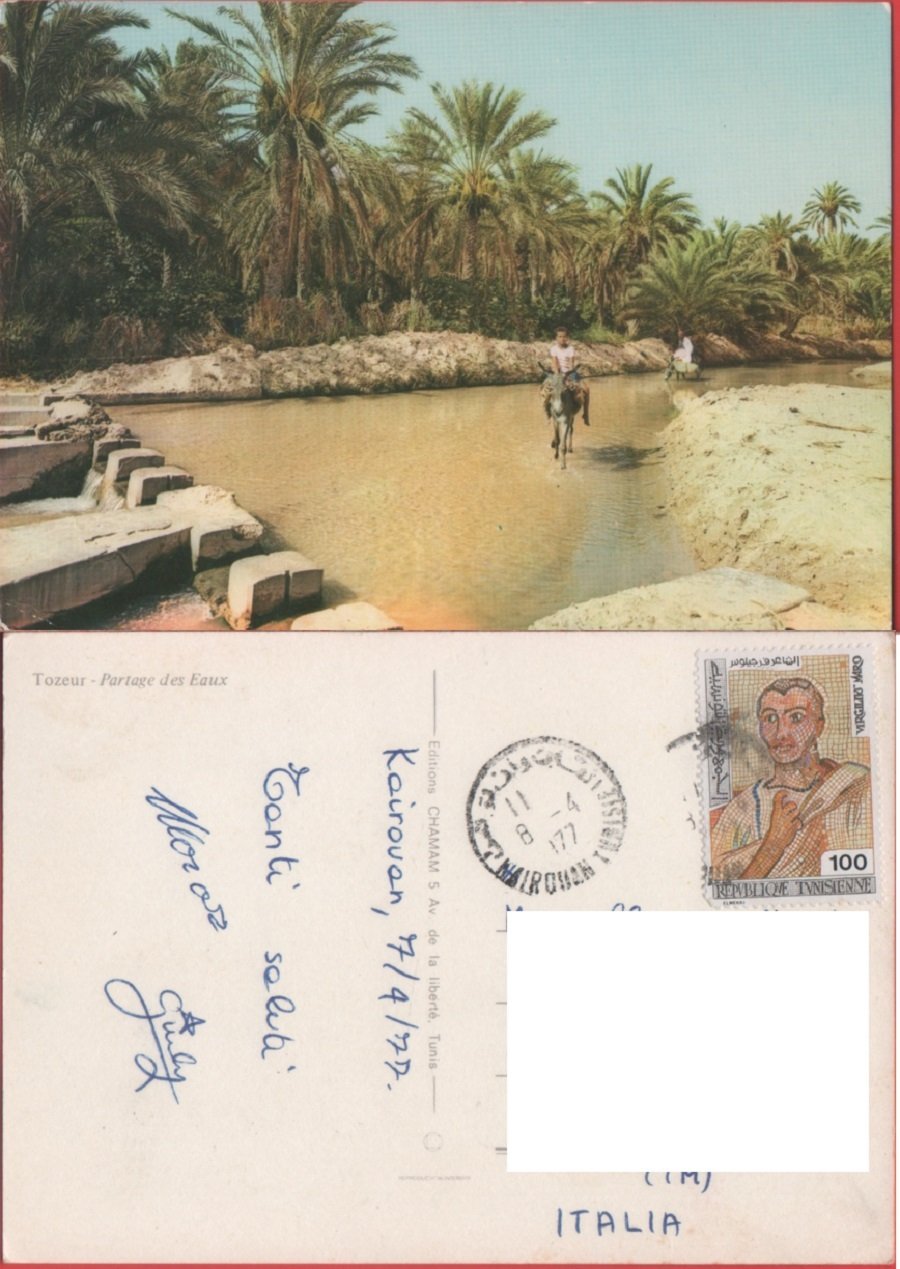 Tozeur (Tunisia). Partege des eaux. Viaggiata 1977