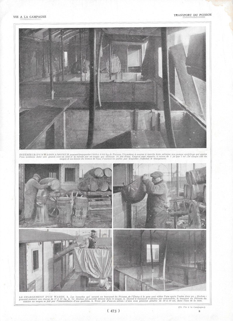 Transport du Poisson - Immagine 1923