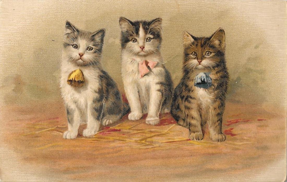 Tre gattini con fiocco. Non viaggiata