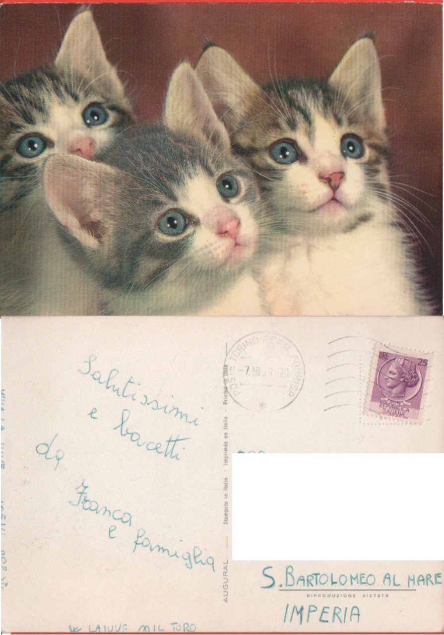 Tre gattini. Viaggiata 1969