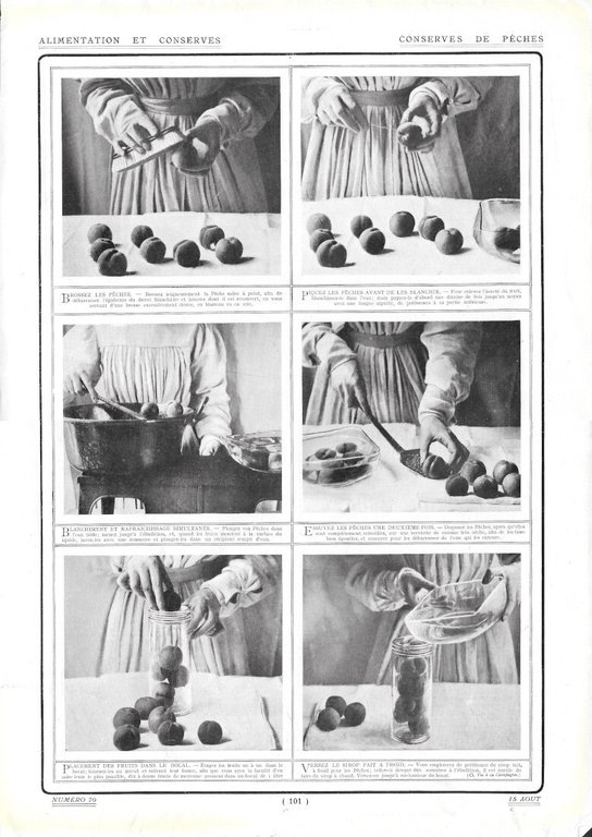 Types de Batteuses / Conserves de Pèches - Immagine 1909