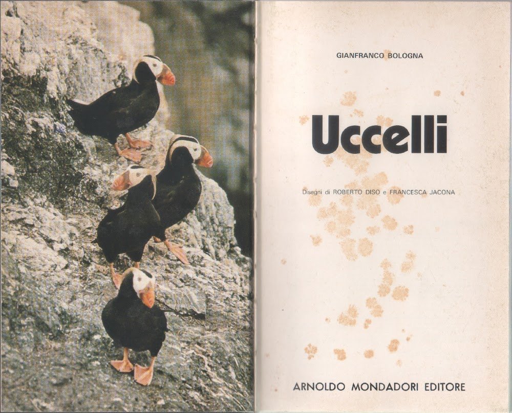 Uccelli - Gianfranco Bologna