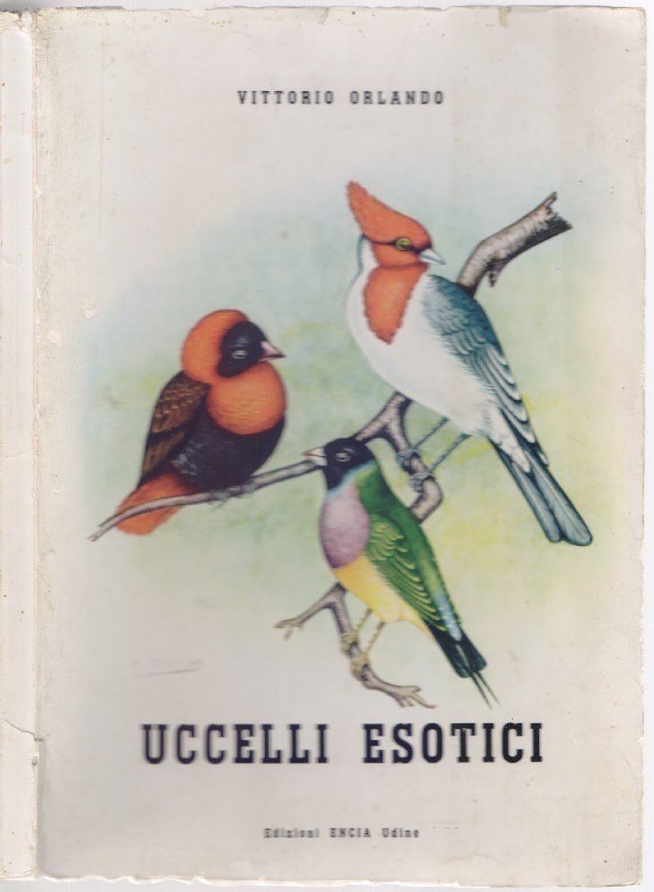 Uccelli esotici. Ploceidi e Fringillidi ed il loro allevamento in …