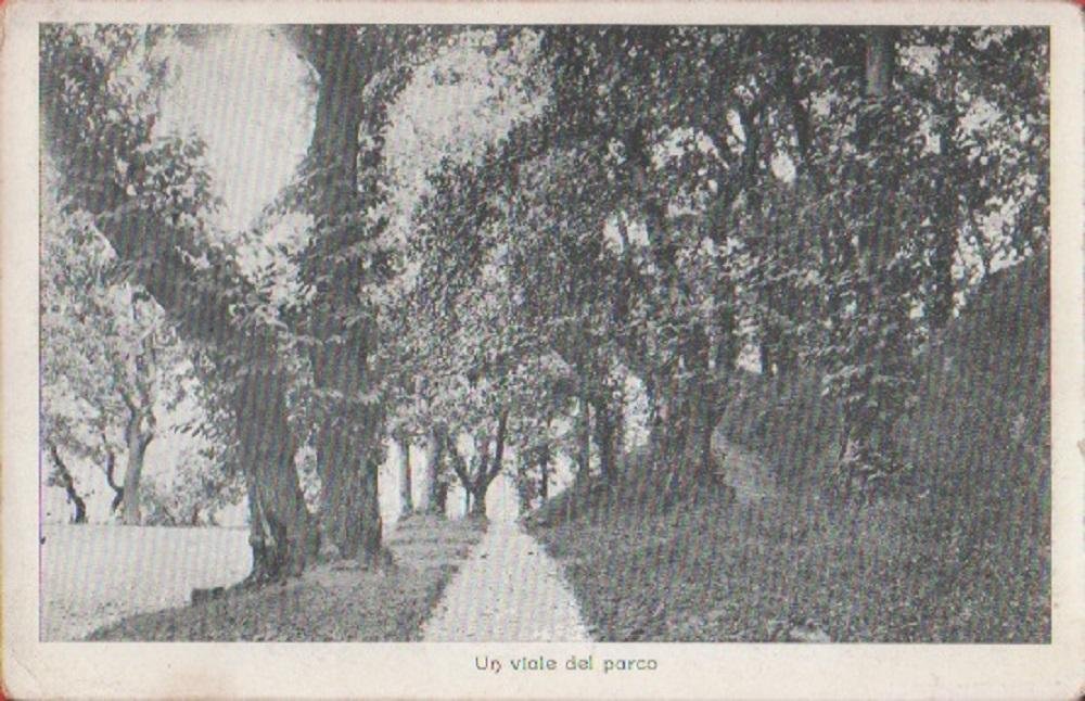 Un viale del parco. Non viaggiata.