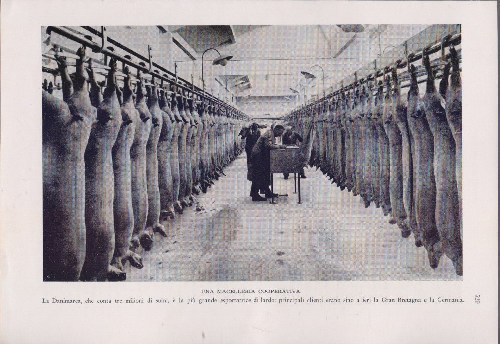 Una macelleria cooperativa in Danimarca. Immagine 1940
