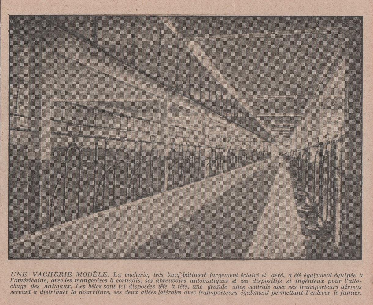 Une vacherie modèle. Advertising 1926