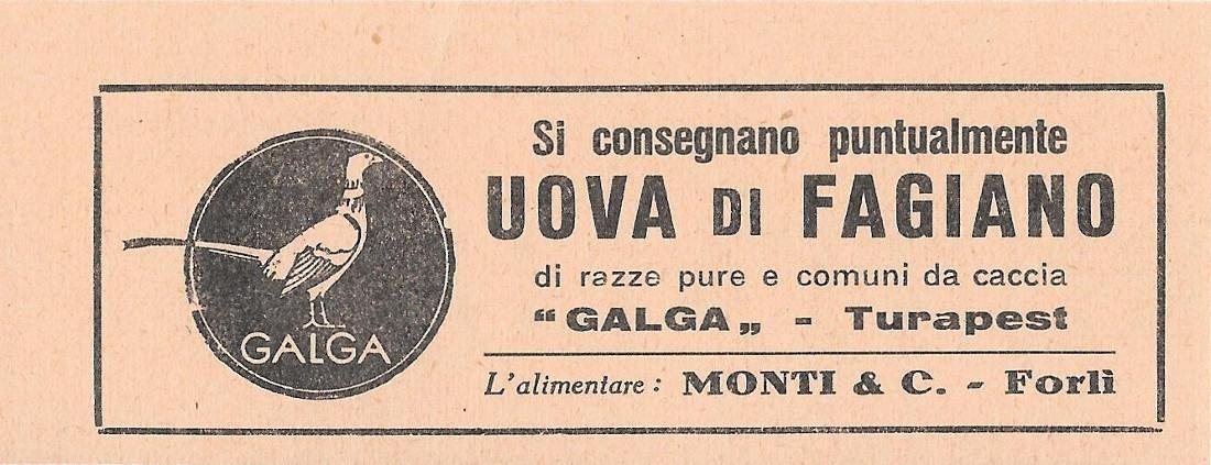 Uova di fagiano. Monti &amp; C. Forlì. Advertising 1937