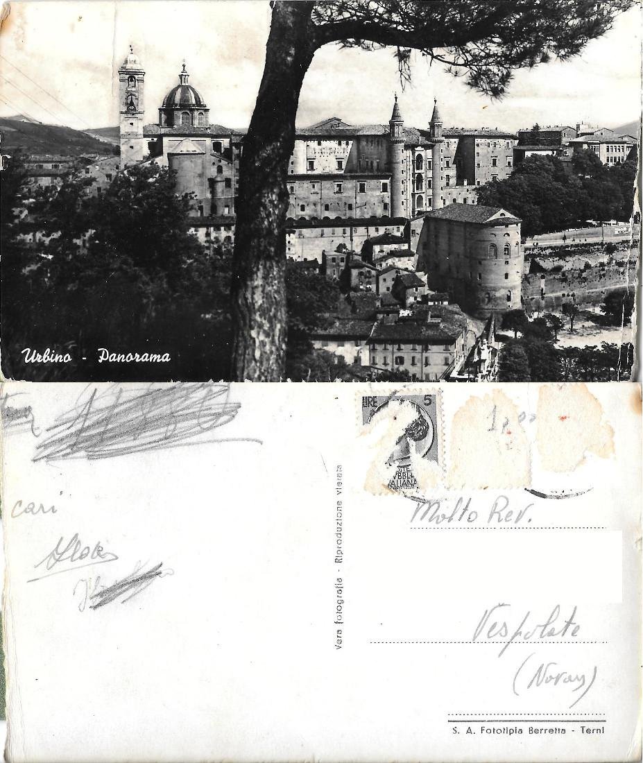 Urbino. Panorama. Ed. Berretta. Viaggiata