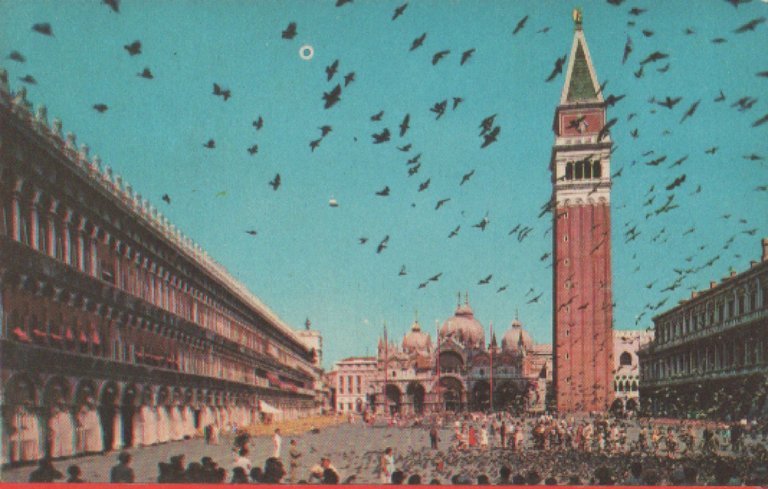 Venezia. Piazza S. Marco. Volo dei colombi. Non viaggiata