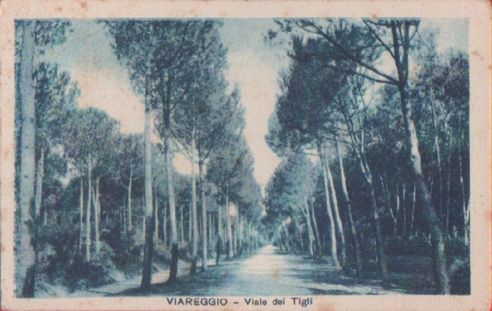 Viareggio. Viale dei Tigli. Non viaggiata