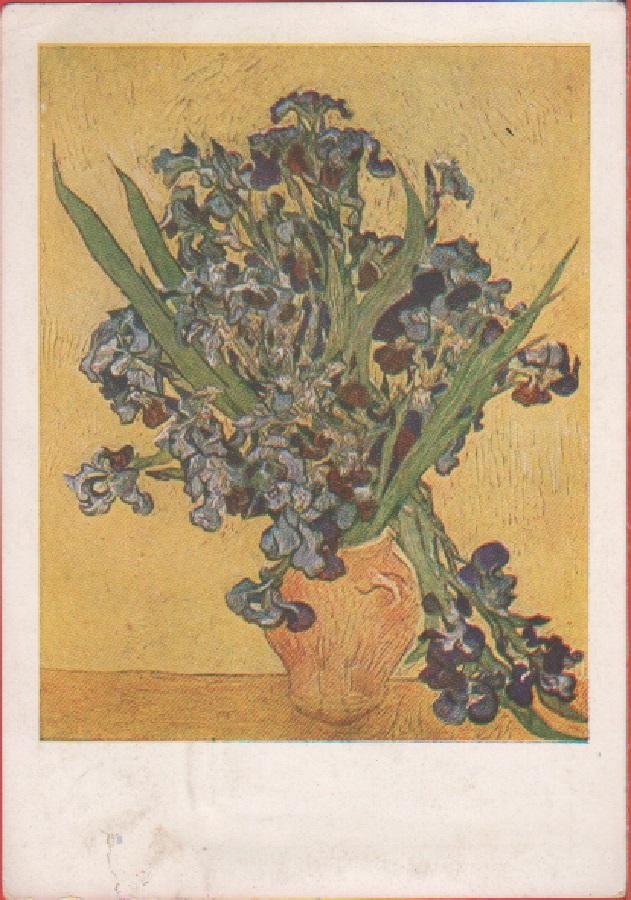 Vicent Van Gogh. Iris. Amsterdam. Rijkmuseum