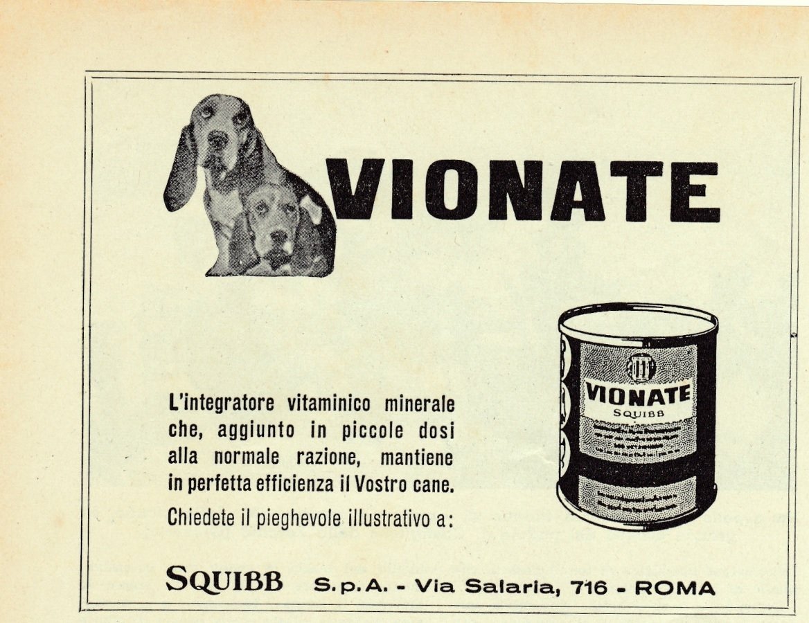 Vionate Squibb. Integratore vitaminico per cani. Advertising 1961