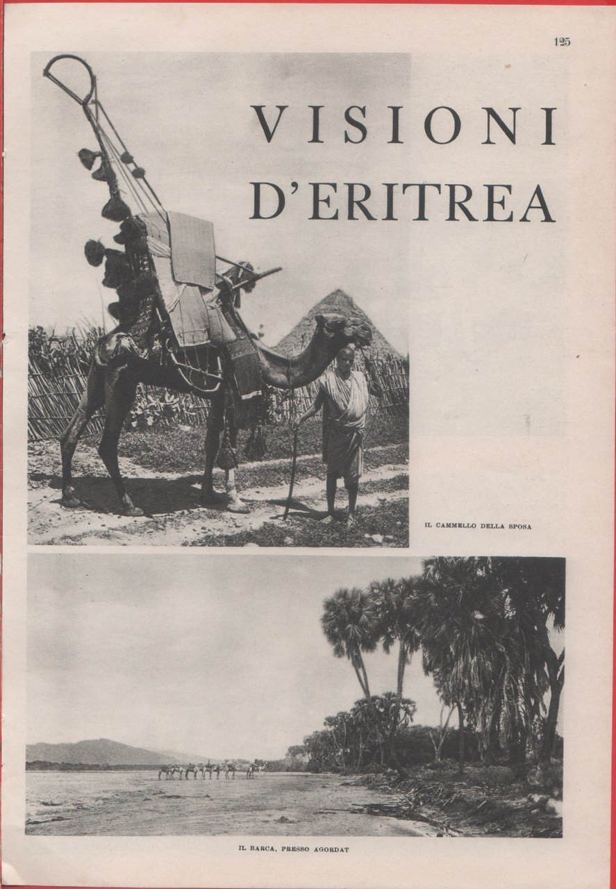 Visioni d'Eritrea. Immagine 1937