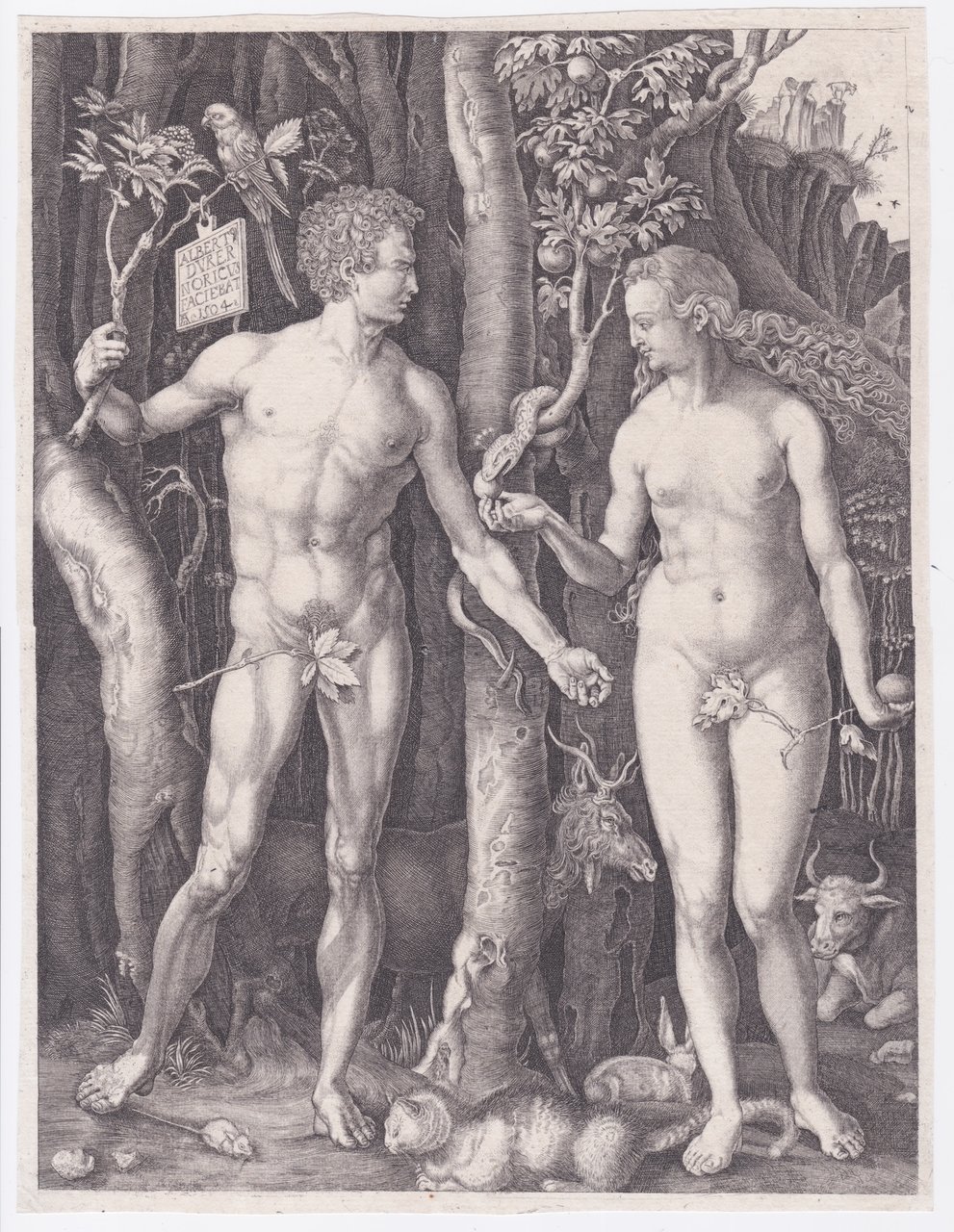Adamo ed Eva, 1504