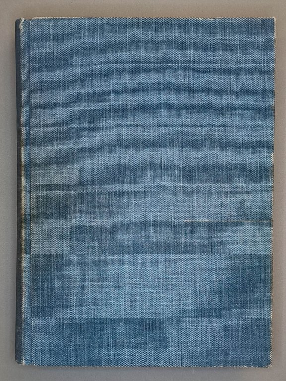 Dizionario illustrato dei pittori e incisori italiani moderni (1800-1900) seconda …