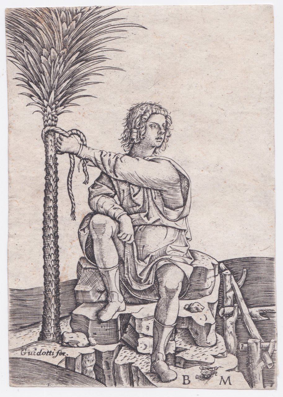 Giovane seduto che fa un nodo ad una palma, 1510-15