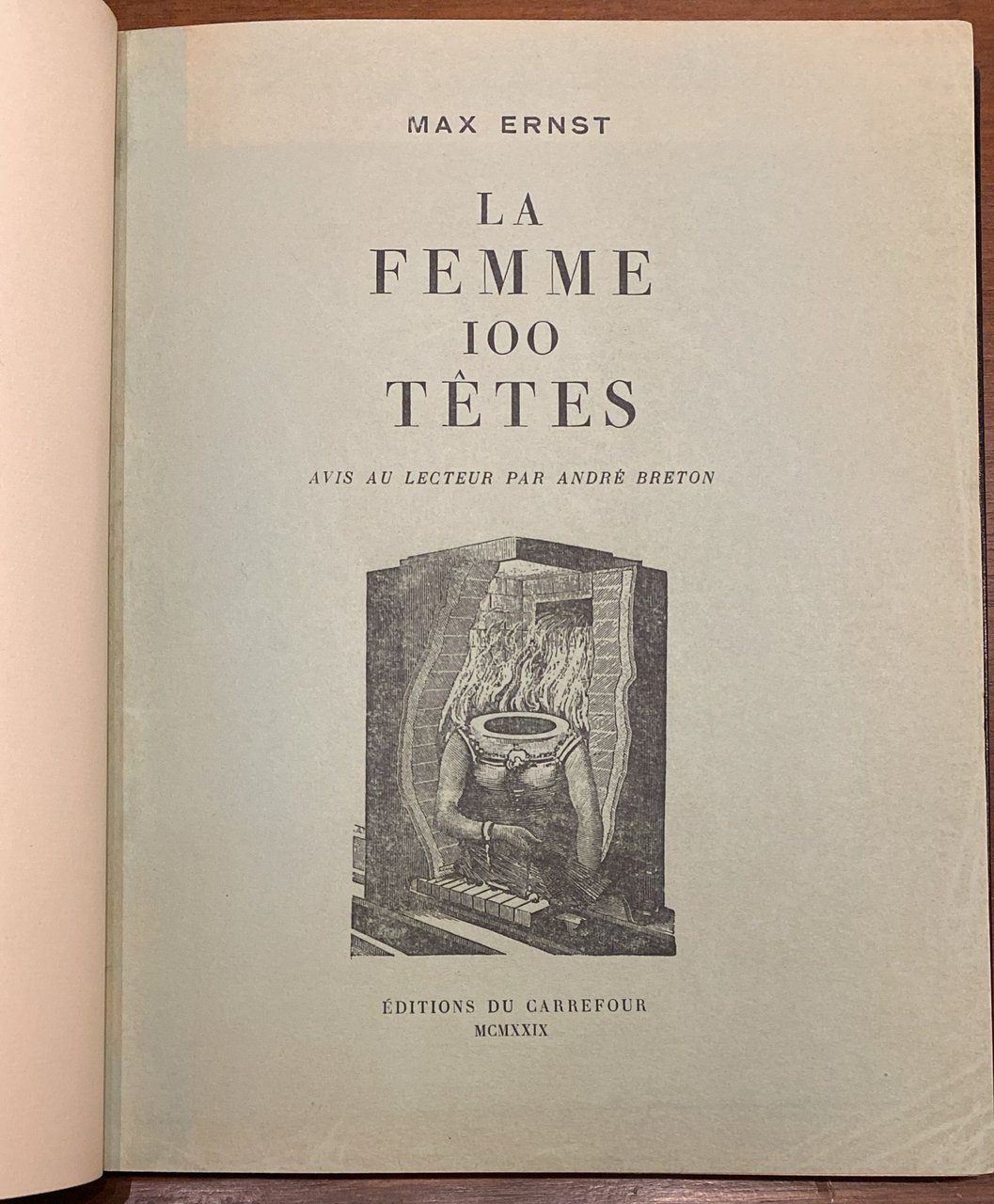 La femme des 100 têtes