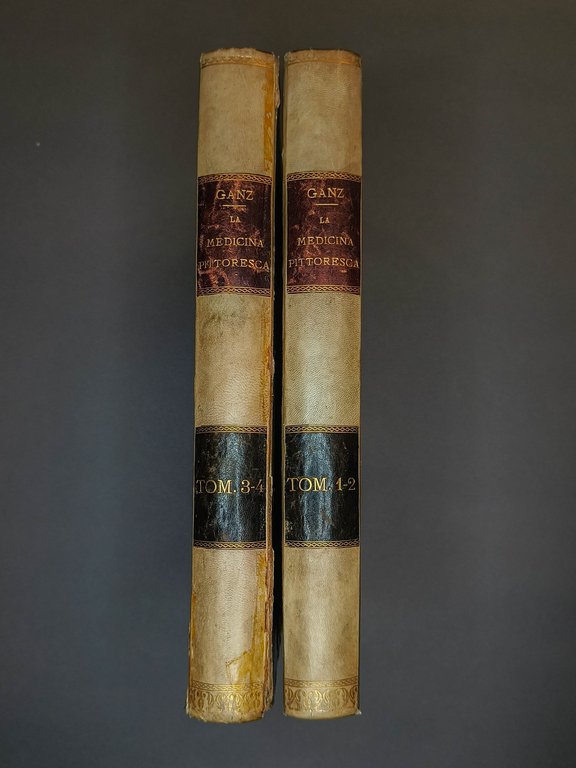 La Medicina Pittoresca o Museo Medico-Chirurgico