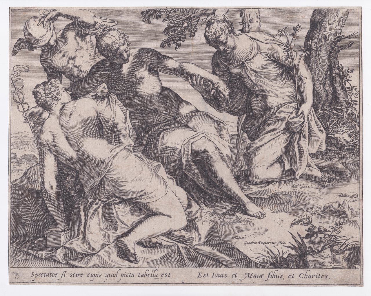 Mercurio e le Tre Grazie, 1589 | Immagine principale