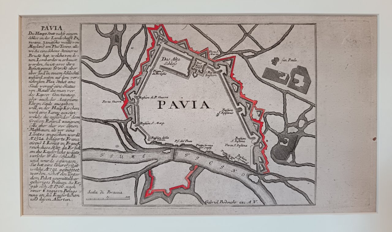 PAVIA