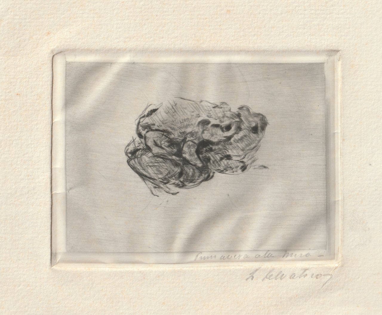 Primavera alla Mira | Immagine principale