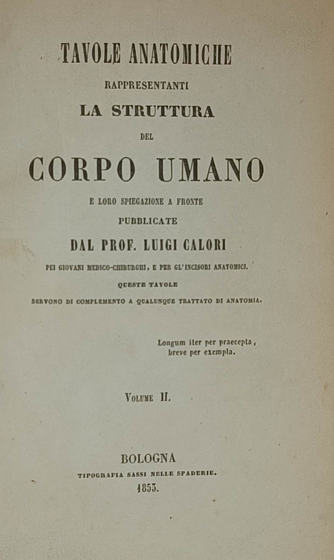 Tavole anatomiche rappresentanti la struttura del corpo umano