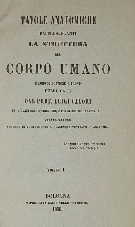 Tavole anatomiche rappresentanti la struttura del corpo umano