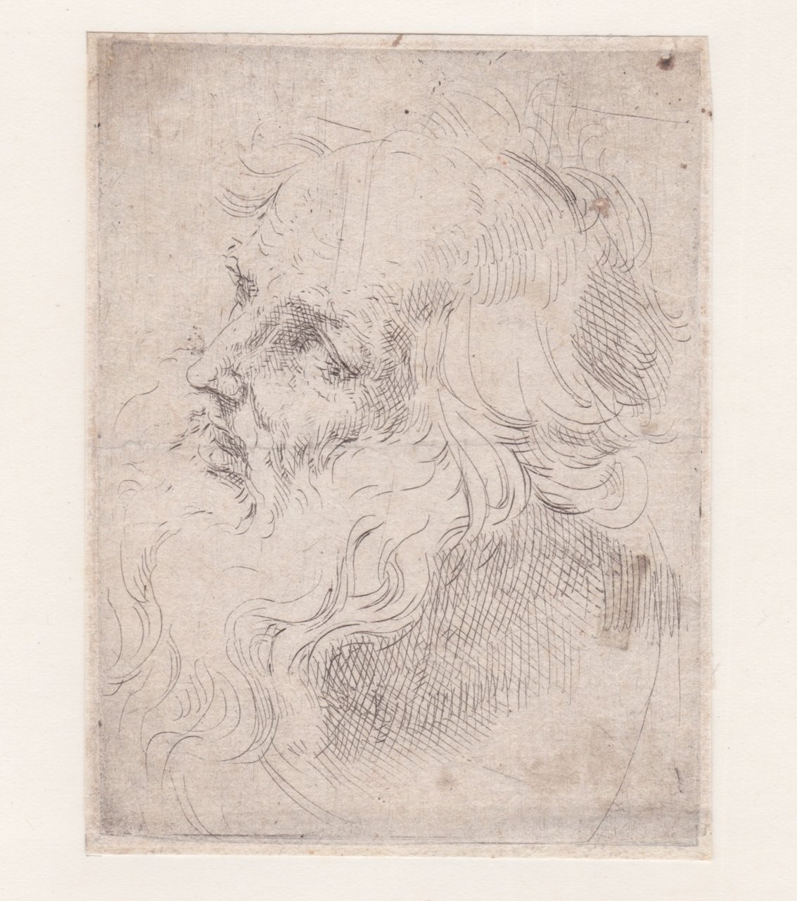 Testa di vecchio volto a sinistra, 1630 c. | Immagine principale