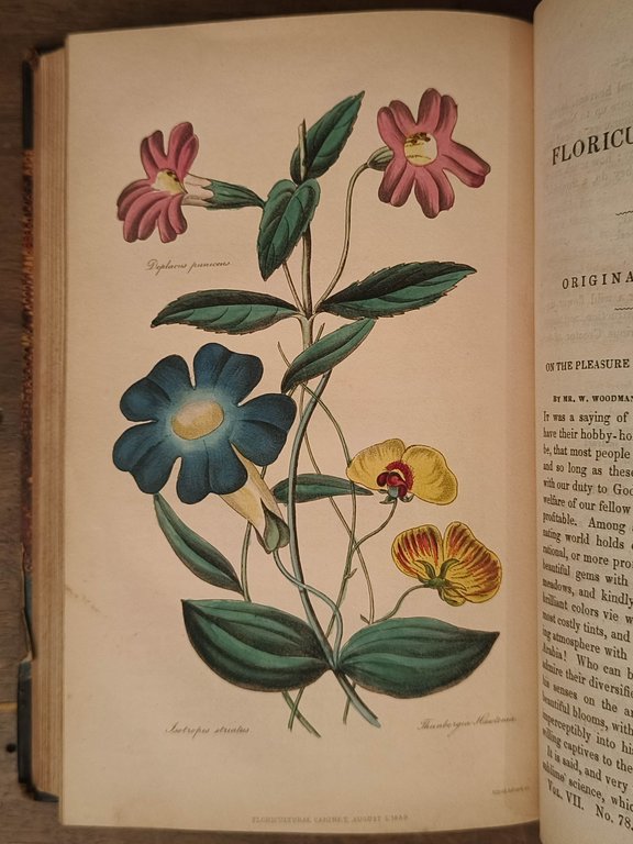 The Floricultural cabinet and florists' magazine : January to December, …