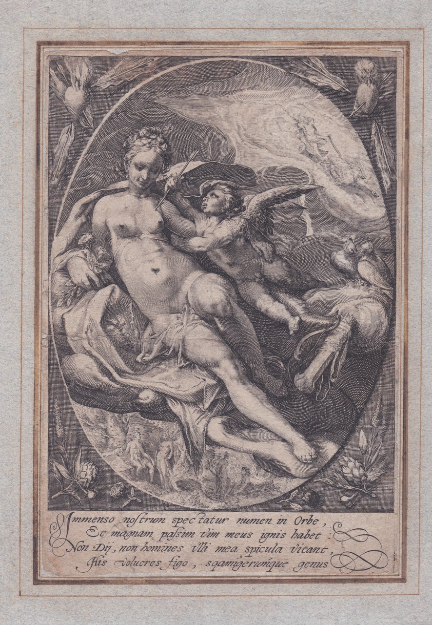 Venere e Cupido | Immagine principale