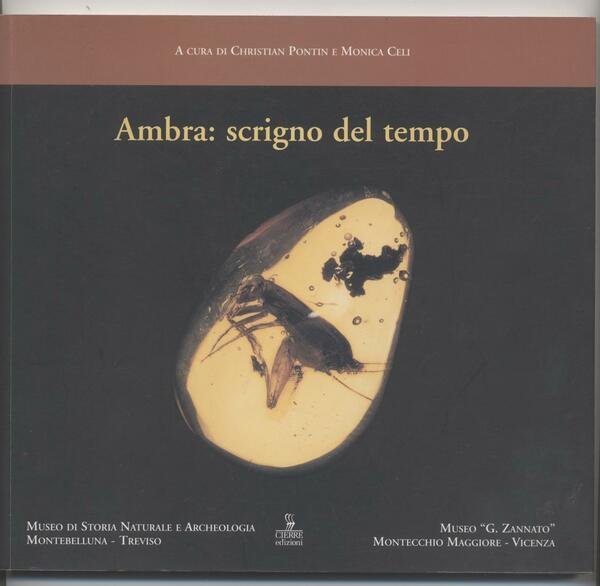 Ambra: scrigno del tempo