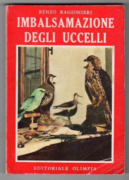 Imbalsamazione degli uccelli