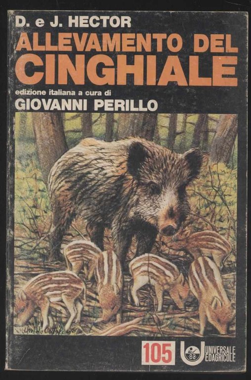 Allevamento del cinghiale