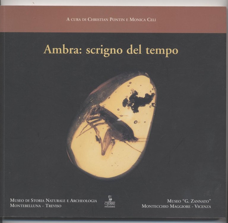 Ambra: scrigno del tempo