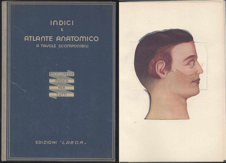 Indici e atlante anatomico a tavole scomponibili - Enciclopedia medica …